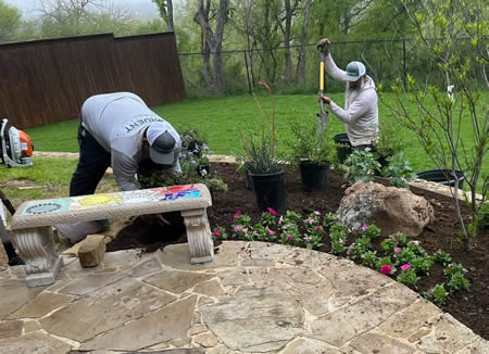 How Often Does a Professionally Maintained Lawn Need Service?