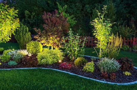 Low-Voltage Landscape Lighting: Where to Place Lights for Safety and Curb Appeal